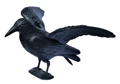 Vogelschreck Flugkrähe