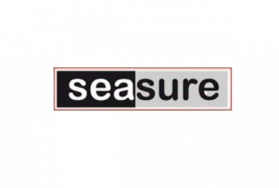 Seasure D Ring mit Steg