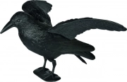 Vogelschreck Flugkrähe